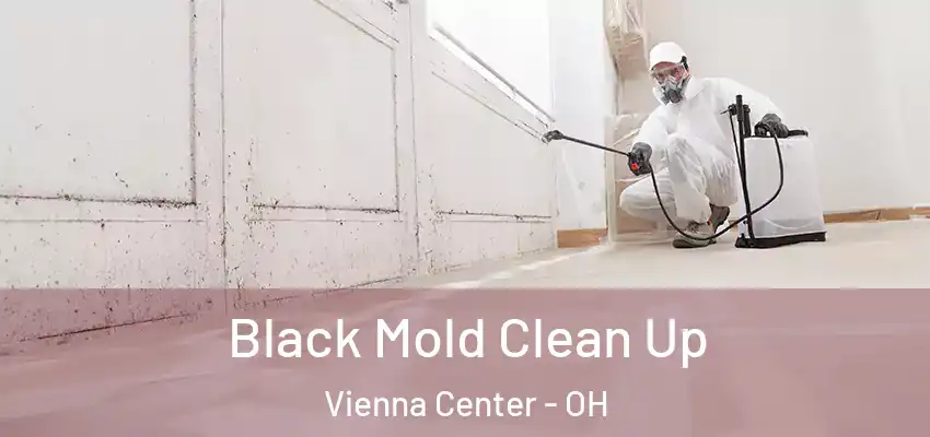 Black Mold Clean Up Vienna Center - OH