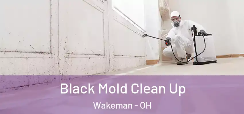 Black Mold Clean Up Wakeman - OH