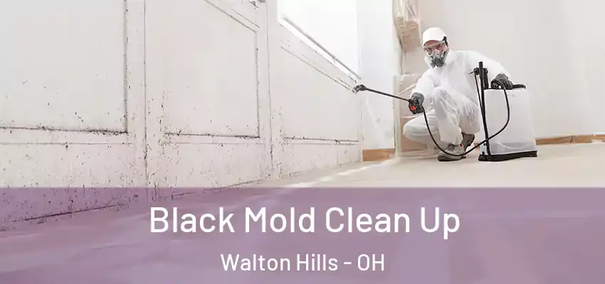 Black Mold Clean Up Walton Hills - OH
