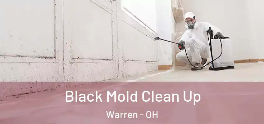 Black Mold Clean Up Warren - OH