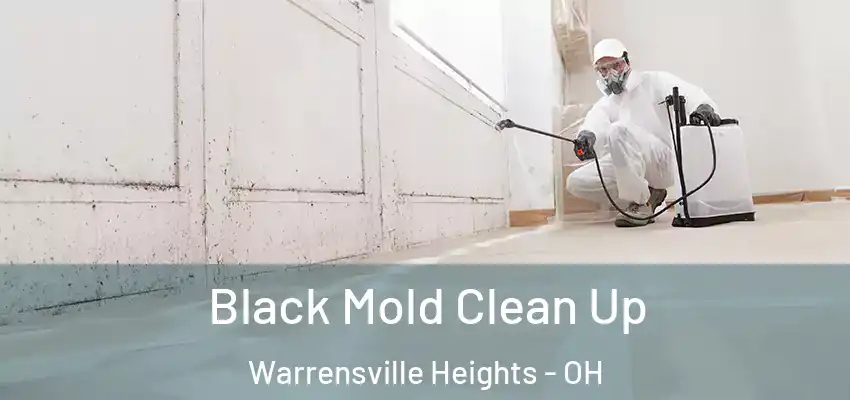  Black Mold Clean Up Warrensville Heights - OH