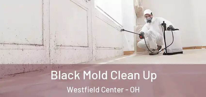  Black Mold Clean Up Westfield Center - OH