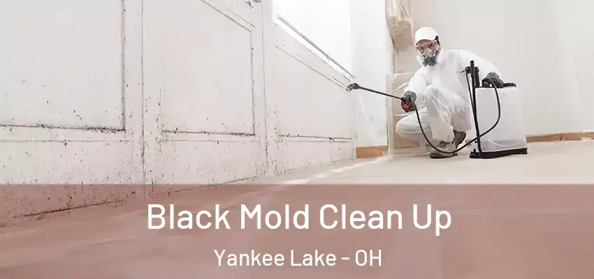 Black Mold Clean Up Yankee Lake - OH