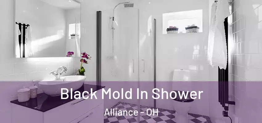 Black Mold In Shower Alliance - OH