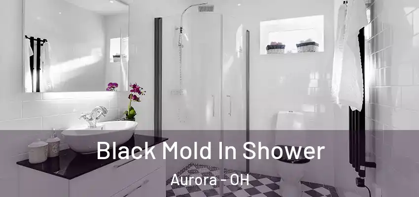 Black Mold In Shower Aurora - OH