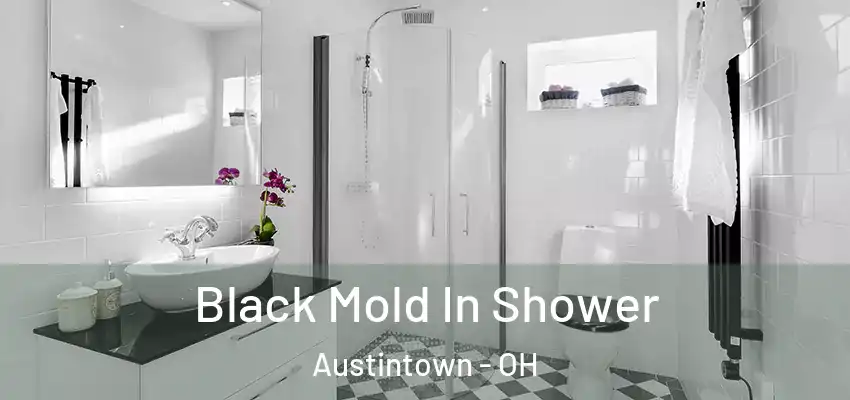 Black Mold In Shower Austintown - OH