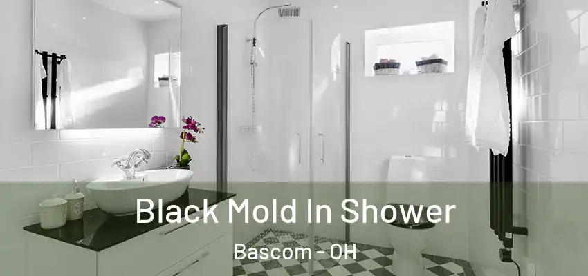  Black Mold In Shower Bascom - OH