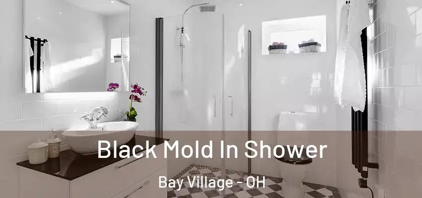 Black Mold In Shower Bay Village - OH