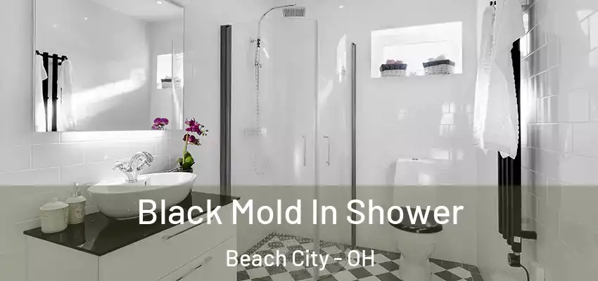 Black Mold In Shower Beach City - OH