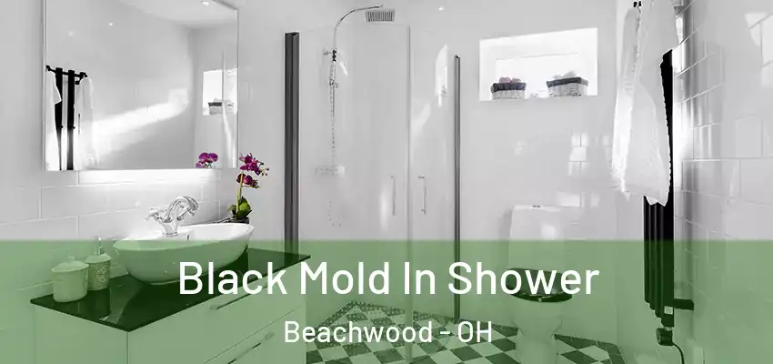  Black Mold In Shower Beachwood - OH