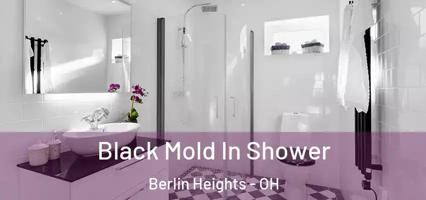  Black Mold In Shower Berlin Heights - OH