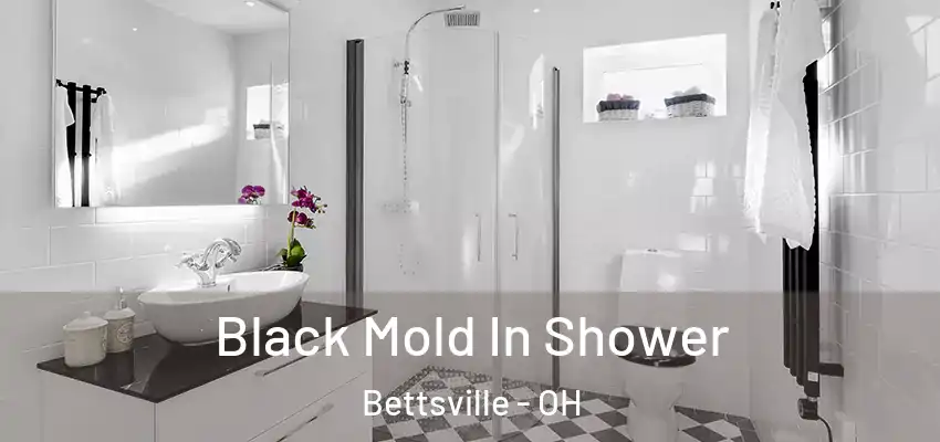 Black Mold In Shower Bettsville - OH