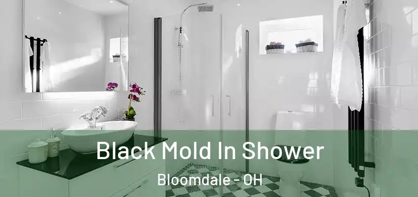Black Mold In Shower Bloomdale - OH