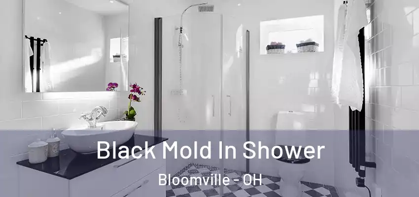  Black Mold In Shower Bloomville - OH