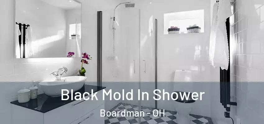 Black Mold In Shower Boardman - OH