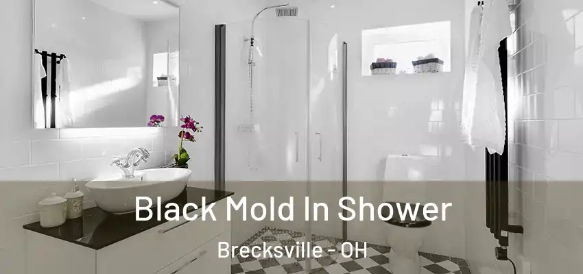  Black Mold In Shower Brecksville - OH