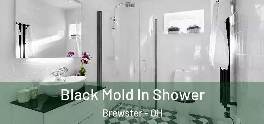 Black Mold In Shower Brewster - OH