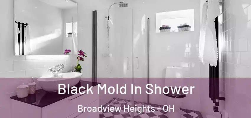 Black Mold In Shower Broadview Heights - OH