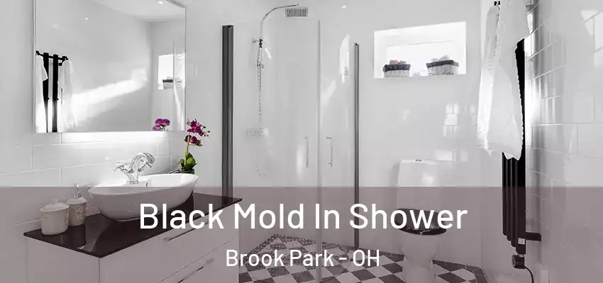 Black Mold In Shower Brook Park - OH