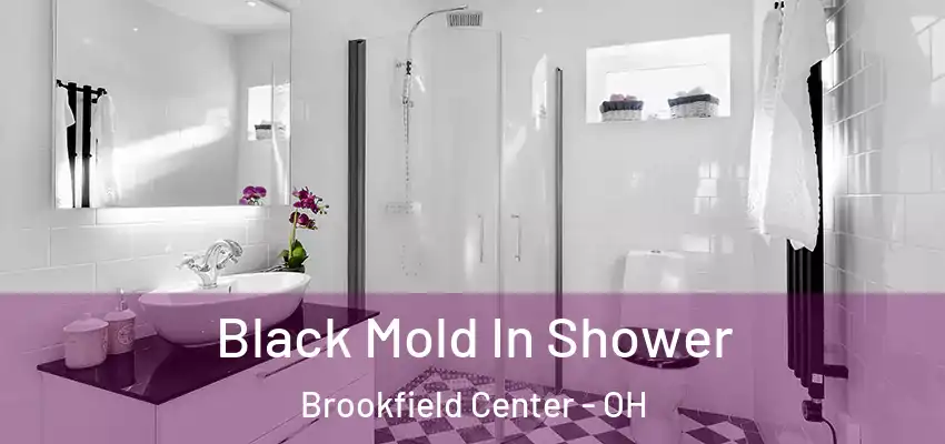  Black Mold In Shower Brookfield Center - OH