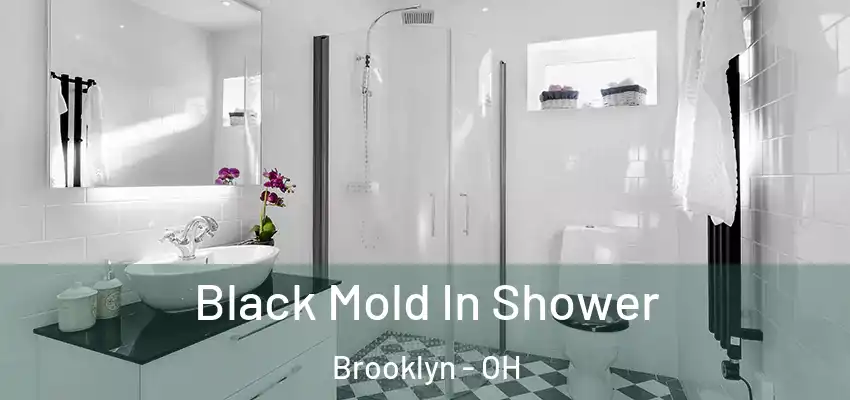  Black Mold In Shower Brooklyn - OH