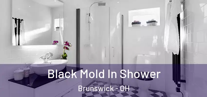 Black Mold In Shower Brunswick - OH