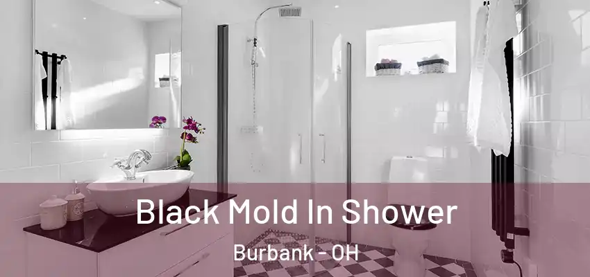 Black Mold In Shower Burbank - OH