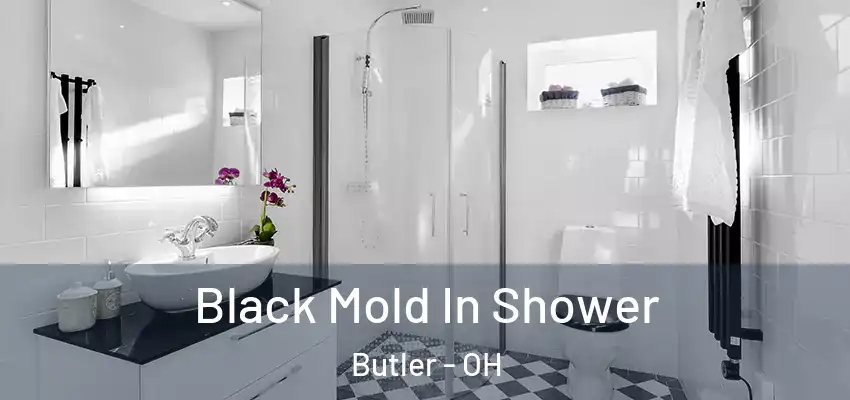  Black Mold In Shower Butler - OH