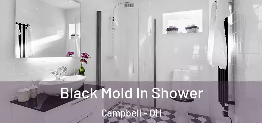 Black Mold In Shower Campbell - OH