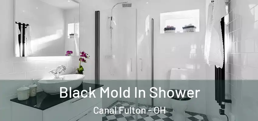  Black Mold In Shower Canal Fulton - OH
