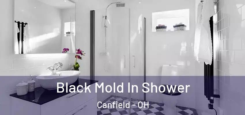 Black Mold In Shower Canfield - OH