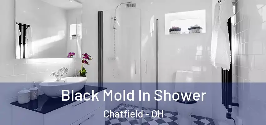 Black Mold In Shower Chatfield - OH