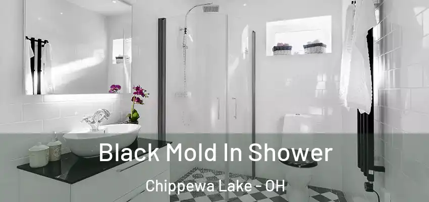 Black Mold In Shower Chippewa Lake - OH