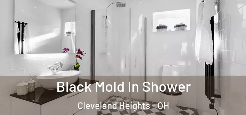  Black Mold In Shower Cleveland Heights - OH