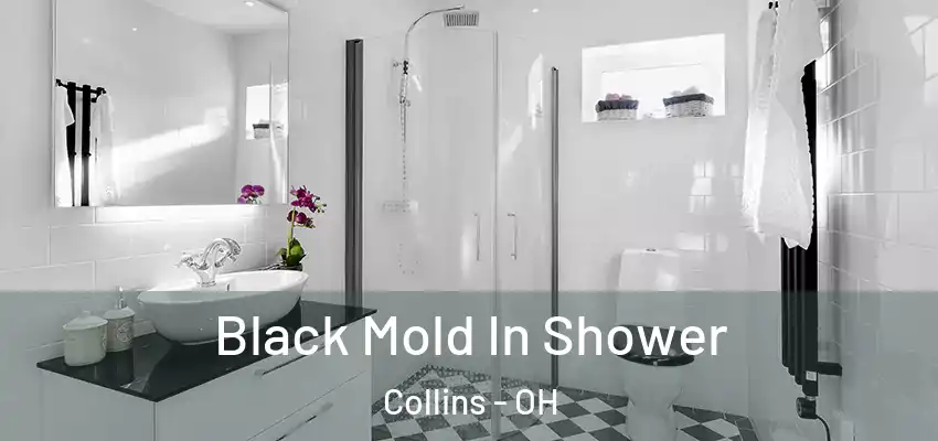 Black Mold In Shower Collins - OH