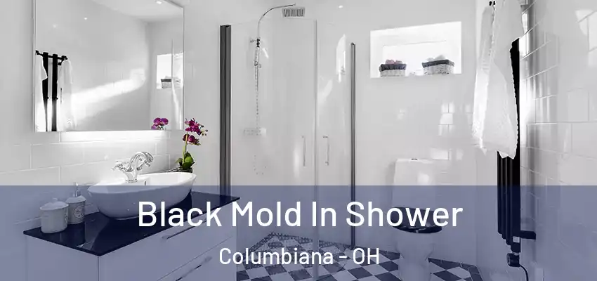 Black Mold In Shower Columbiana - OH