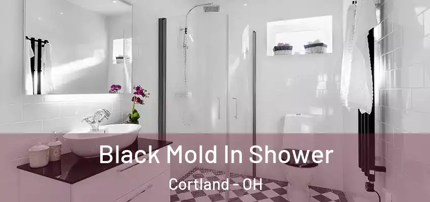Black Mold In Shower Cortland - OH