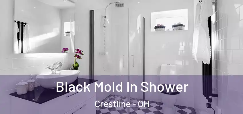 Black Mold In Shower Crestline - OH