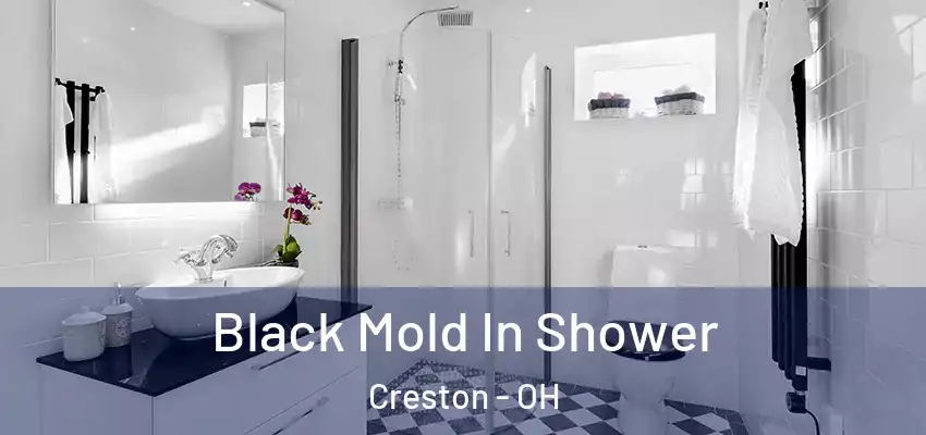 Black Mold In Shower Creston - OH
