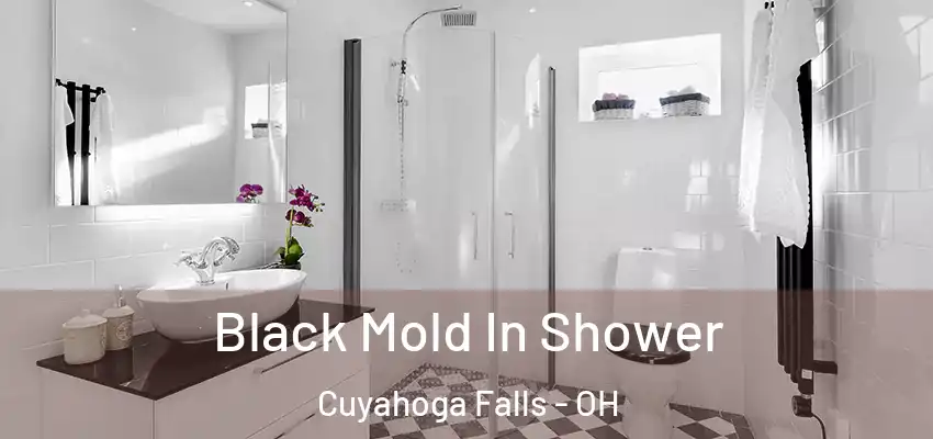 Black Mold In Shower Cuyahoga Falls - OH