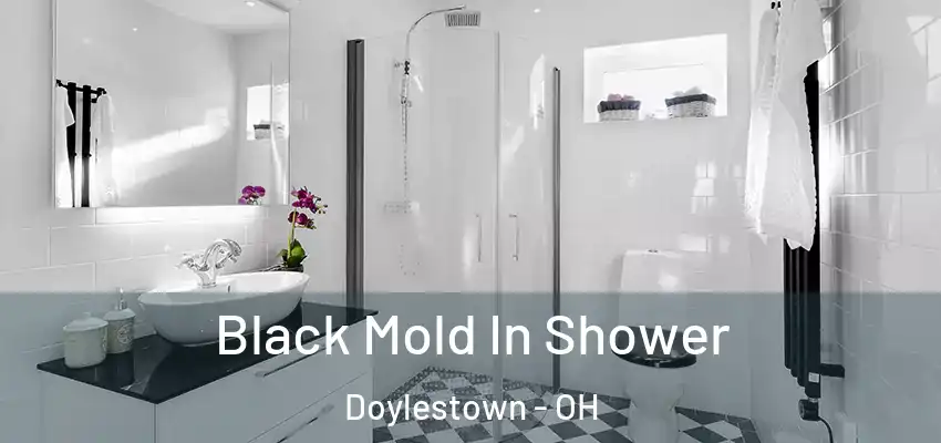  Black Mold In Shower Doylestown - OH
