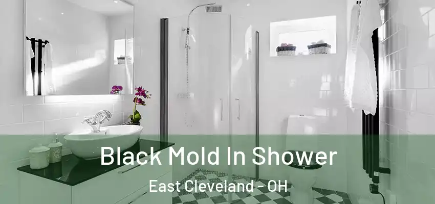  Black Mold In Shower East Cleveland - OH