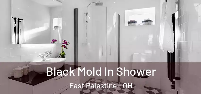  Black Mold In Shower East Palestine - OH