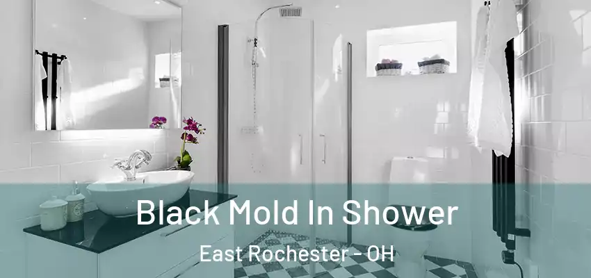  Black Mold In Shower East Rochester - OH