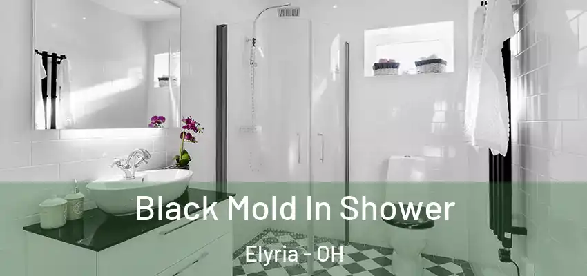  Black Mold In Shower Elyria - OH