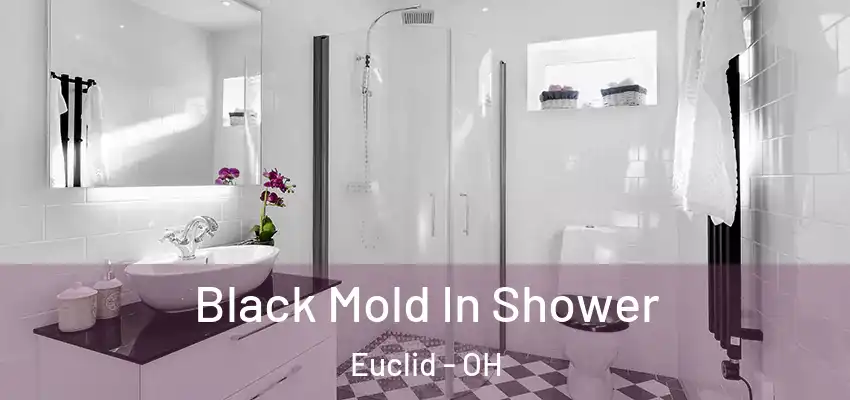  Black Mold In Shower Euclid - OH