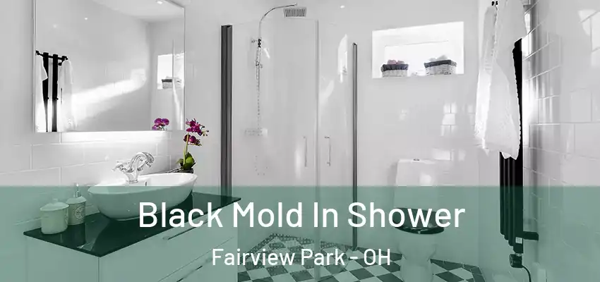  Black Mold In Shower Fairview Park - OH
