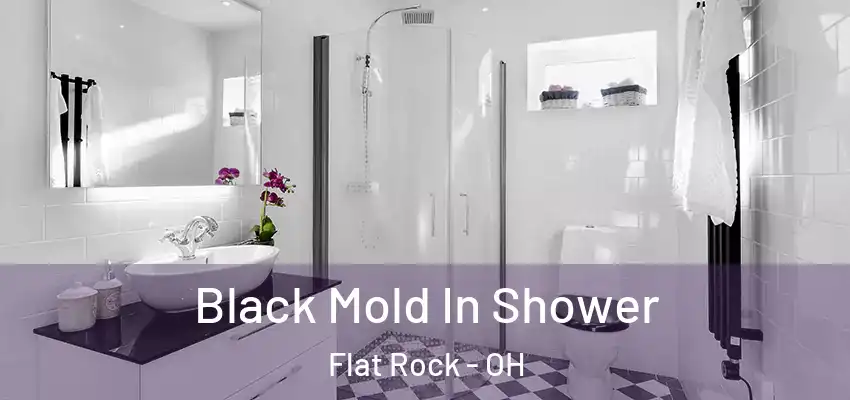  Black Mold In Shower Flat Rock - OH