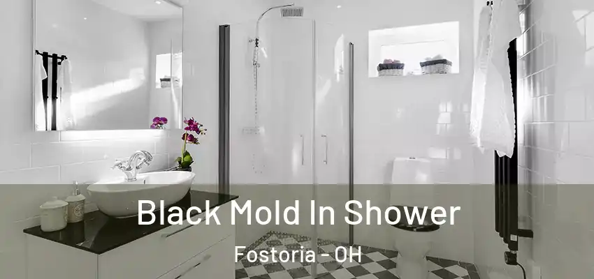  Black Mold In Shower Fostoria - OH