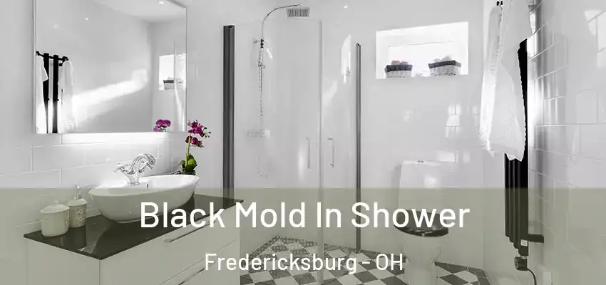 Black Mold In Shower Fredericksburg - OH